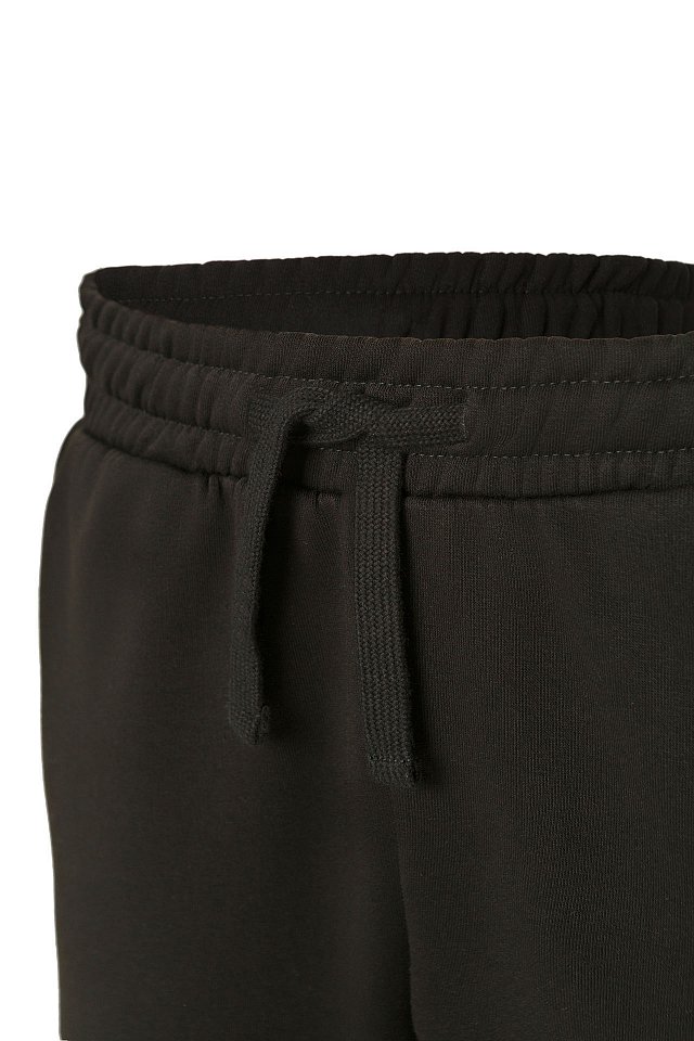 Брюки КОТПРОФИ (KOTPROFI) джоггеры, футер 3-х нитка с начесом черные - upload/resize_cache/iblock/380/w3hk5krlktx3kyj1mwmenp7kisbo53ll/640_1002_1821712164bebe8964a3cb4f91f48bb72/Specodejda_24_05_2446514_1280x1920_