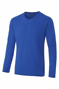 Футболка с длинным рукавом василек