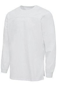 Блуза ЭЙЧ ЛАЙН Лайт комбинированная с длинным рукавом белая