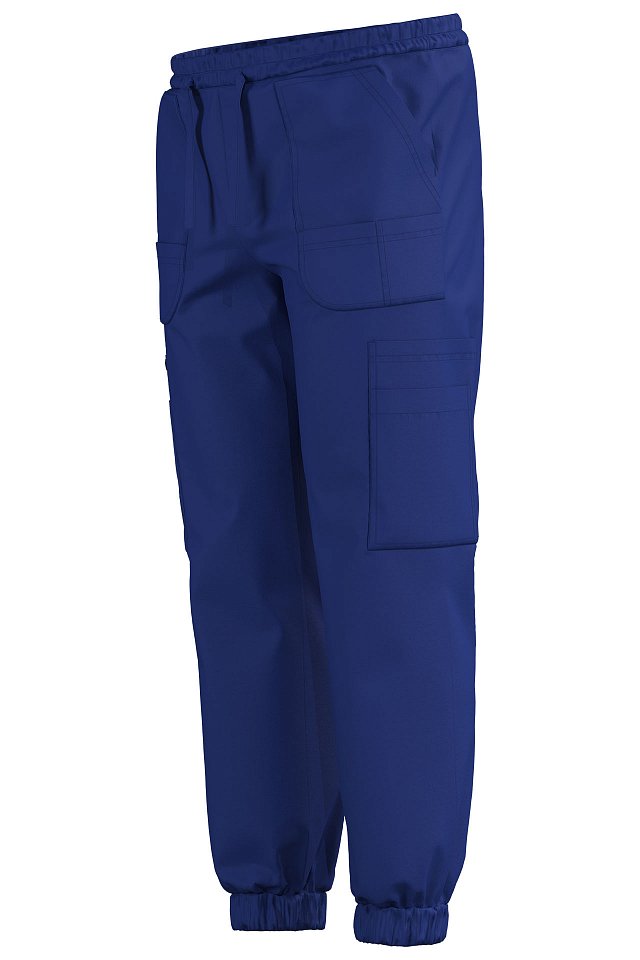 Джоггеры Эргофайв Актив (ERGOFIVE Active) EAPU03 василек - upload/resize_cache/iblock/de5/4512qh7gp7fxzw9lnkqfajs3oc1lbgu8/640_1002_1821712164bebe8964a3cb4f91f48bb72/1_7_1280x1920