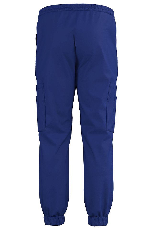 Джоггеры Эргофайв Актив (ERGOFIVE Active) EAPU03 василек - upload/resize_cache/iblock/fe8/boko1vnsrd21rgmjfeg8zynlgu1e8maf/640_1002_1821712164bebe8964a3cb4f91f48bb72/1_4_1280x1920